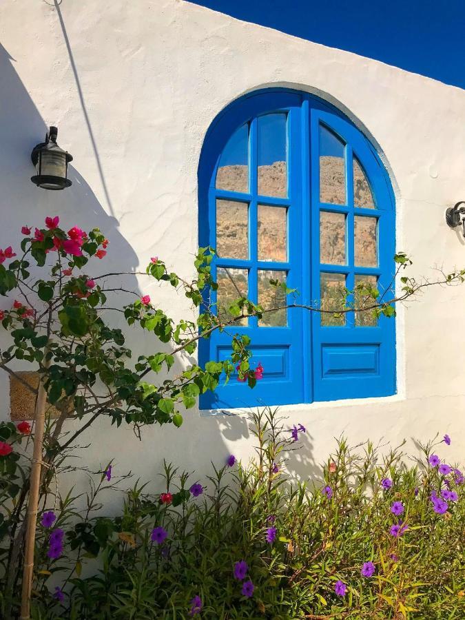 Pontoria Stegna Studios Archangelos  Eksteriør bilde